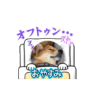 動くスタンプ◆すだちくんとかぼすくん（個別スタンプ：3）