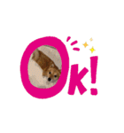 動くスタンプ◆すだちくんとかぼすくん（個別スタンプ：10）