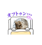 動くおこげスタンプ（個別スタンプ：11）