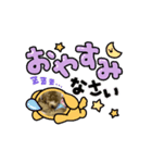 うちのらぶたん（個別スタンプ：1）