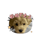 うちのらぶたん（個別スタンプ：6）