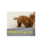 動くといねじ❤️（個別スタンプ：3）