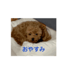 動くといねじ❤️（個別スタンプ：4）