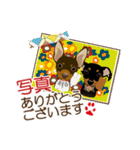 まめぴん321*ReoくんRinちゃん.ver（個別スタンプ：13）