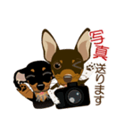 まめぴん321*ReoくんRinちゃん.ver（個別スタンプ：14）