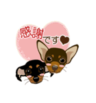 まめぴん321*ReoくんRinちゃん.ver（個別スタンプ：16）