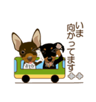 まめぴん321*ReoくんRinちゃん.ver（個別スタンプ：17）