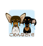 まめぴん321*ReoくんRinちゃん.ver（個別スタンプ：20）