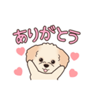 『マルプー』毎日使えるデカ文字（個別スタンプ：5）