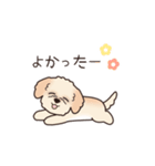 『マルプー』毎日使えるデカ文字（個別スタンプ：6）