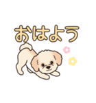 『マルプー』毎日使えるデカ文字（個別スタンプ：13）