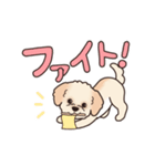 『マルプー』毎日使えるデカ文字（個別スタンプ：20）