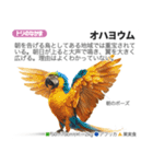架空動物図鑑 vol.3（個別スタンプ：1）