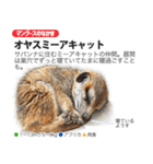 架空動物図鑑 vol.3（個別スタンプ：3）