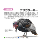 架空動物図鑑 vol.3（個別スタンプ：5）