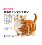 架空動物図鑑 vol.3（個別スタンプ：7）
