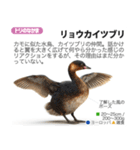 架空動物図鑑 vol.3（個別スタンプ：8）