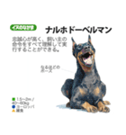 架空動物図鑑 vol.3（個別スタンプ：13）