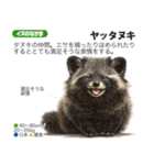 架空動物図鑑 vol.3（個別スタンプ：15）