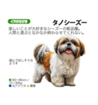 架空動物図鑑 vol.3（個別スタンプ：16）