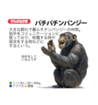架空動物図鑑 vol.3（個別スタンプ：19）