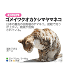架空動物図鑑 vol.3（個別スタンプ：21）