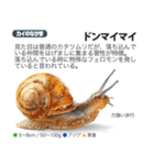 架空動物図鑑 vol.3（個別スタンプ：25）