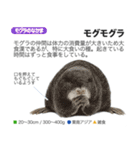 架空動物図鑑 vol.3（個別スタンプ：27）