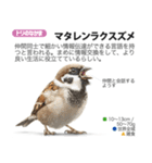 架空動物図鑑 vol.3（個別スタンプ：33）
