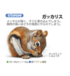 架空動物図鑑 vol.3（個別スタンプ：36）