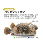 架空動物図鑑 vol.3（個別スタンプ：37）