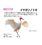 架空動物図鑑 vol.3（個別スタンプ：39）