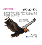 架空動物図鑑 vol.3（個別スタンプ：40）
