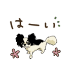 チワワパーティー2【敬語挨拶バージョン】（個別スタンプ：3）