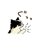 チワワパーティー2【敬語挨拶バージョン】（個別スタンプ：13）