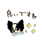 チワワパーティー2【敬語挨拶バージョン】（個別スタンプ：14）
