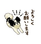 チワワパーティー2【敬語挨拶バージョン】（個別スタンプ：17）