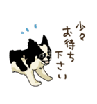 チワワパーティー2【敬語挨拶バージョン】（個別スタンプ：20）