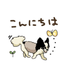 チワワパーティー2【敬語挨拶バージョン】（個別スタンプ：22）