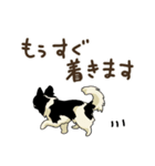 チワワパーティー2【敬語挨拶バージョン】（個別スタンプ：31）