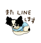 チワワパーティー2【敬語挨拶バージョン】（個別スタンプ：40）
