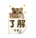 夏も毎日♡モフハムの見やすいBIG文字！（個別スタンプ：4）