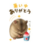 夏も毎日♡モフハムの見やすいBIG文字！（個別スタンプ：8）