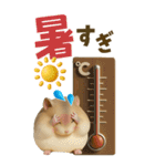 夏も毎日♡モフハムの見やすいBIG文字！（個別スタンプ：18）