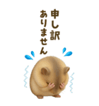 夏も毎日♡モフハムの見やすいBIG文字！（個別スタンプ：23）