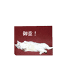 日々是好日徒然犬猫2（個別スタンプ：3）