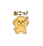 エイプ君のスタンプ⑤（個別スタンプ：8）