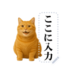 茶色の猫のメッセージ【猫ミーム】（個別スタンプ：6）