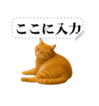 茶色の猫のメッセージ【猫ミーム】（個別スタンプ：7）