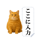 茶色の猫のメッセージ【猫ミーム】（個別スタンプ：12）